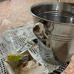 Li Salini 3*